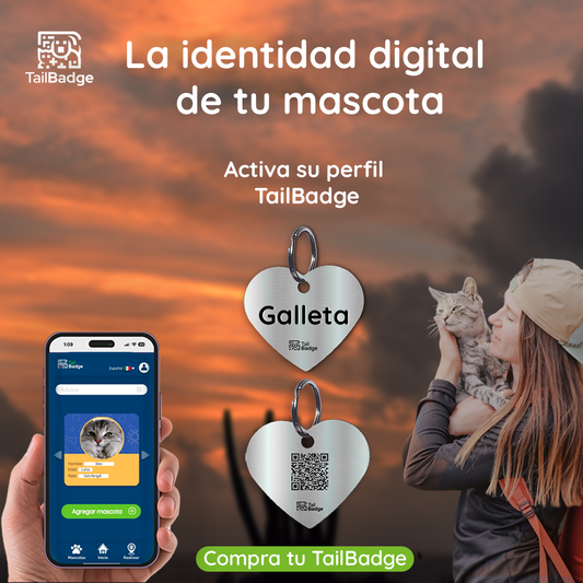 HEART-SHAPED PET TAG