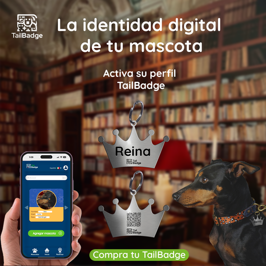 CROWN-SHAPED PET TAG