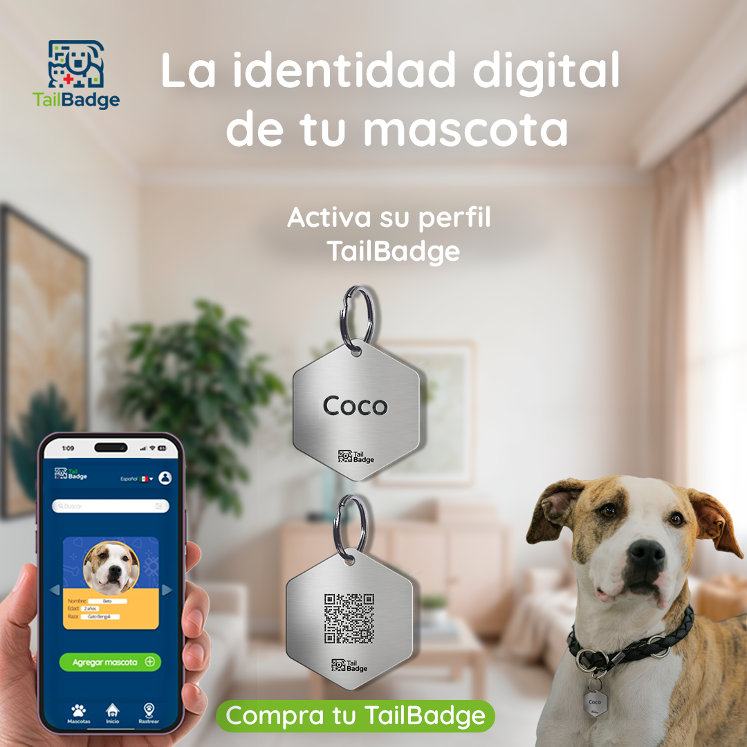 HEXAGON-SHAPED PET TAG