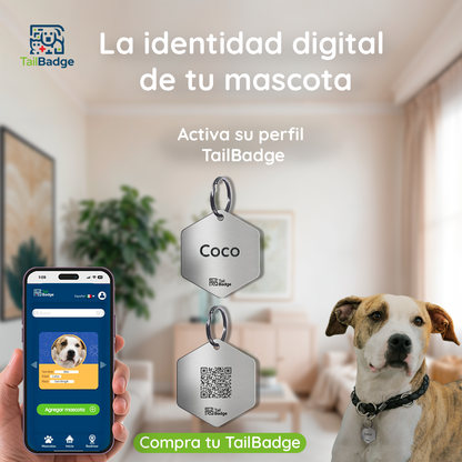 HEXAGON-SHAPED PET TAG