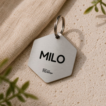 HEXAGON-SHAPED PET TAG