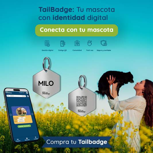 HEXAGON-SHAPED PET TAG