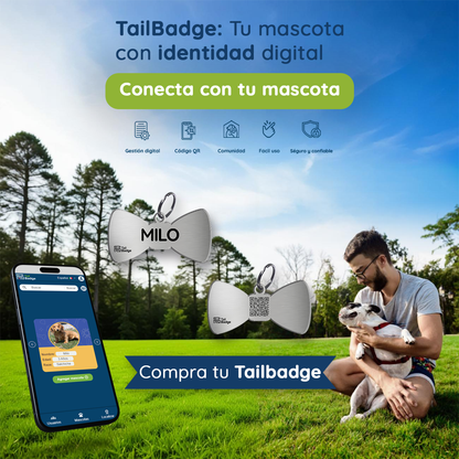 BOW-SHAPED PET TAG